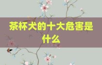 茶杯犬的十大危害是什么