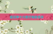 霍元甲十大武打电影名字