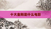 十大金刚是什么电影