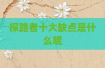 探路者十大缺点是什么呢