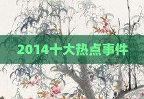 2014十大热点事件