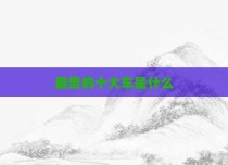 最贵的十大车是什么