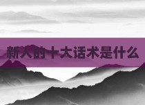 新人的十大话术是什么
