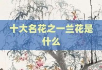 十大名花之一兰花是什么