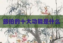 旅拍的十大功能是什么