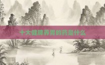 十大健脾养胃的药是什么