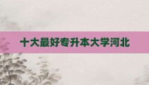 十大最好专升本大学河北