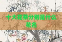 十大花茶分别是什么花名