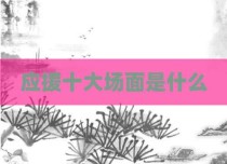 应援十大场面是什么