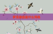 梦见抽血是什么预兆