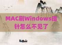 MAC刷Windows指针怎么不见了