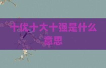 十优十大十强是什么意思