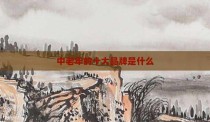中老年的十大品牌是什么