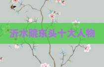 沂水院东头十大人物