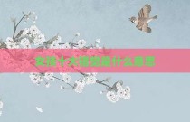 女孩十大错觉是什么意思