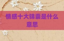 情感十大锦囊是什么意思