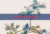 十大交通陋习的危害