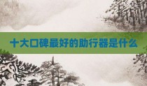 十大口碑最好的助行器是什么