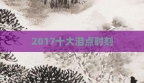 2017十大泪点时刻