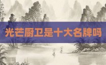 光芒厨卫是十大名牌吗