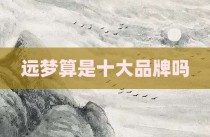 远梦算是十大品牌吗