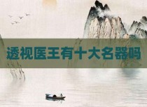 透视医王有十大名器吗
