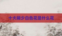 十大稀少白色花是什么花