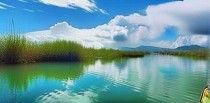 全球十大奇葩钓鱼地点