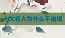 十大名人为什么不结婚