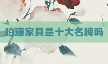 珀康家具是十大名牌吗