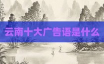 云南十大广告语是什么