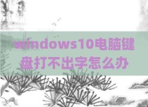 windows10电脑键盘打不出字怎么办