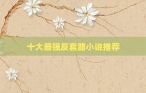 十大最强反套路小说推荐