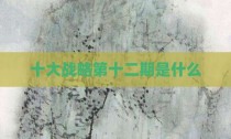 十大战略第十二期是什么