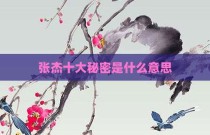 张杰十大秘密是什么意思