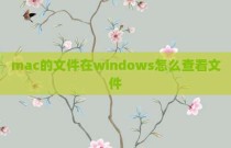 mac的文件在windows怎么查看文件