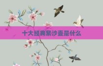 十大经典紫沙壶是什么
