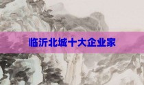 临沂北城十大企业家