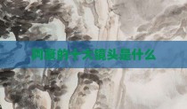 阿衰的十大镜头是什么