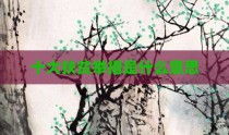 十大扶贫举措是什么意思