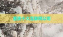 重庆十大互联网公司