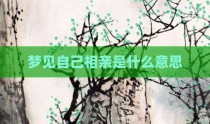 梦见自己相亲是什么意思