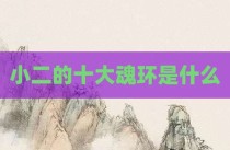 小二的十大魂环是什么