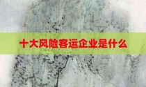 十大风险客运企业是什么