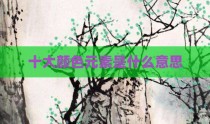 十大颜色元素是什么意思