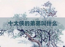 十大侠的弟弟叫什么