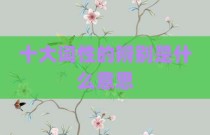 十大词性的辨别是什么意思