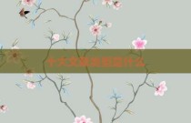 十大文献类型是什么