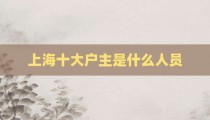 上海十大户主是什么人员