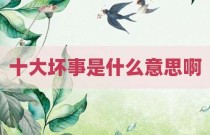 十大坏事是什么意思啊